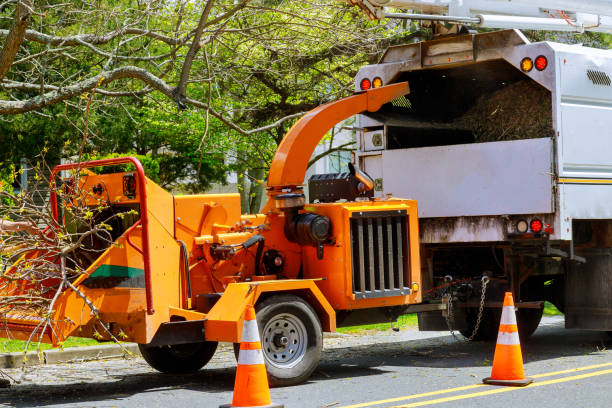 Seasonal Cleanup in Nampa, ID